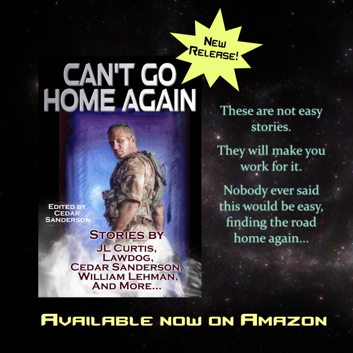 The first PTSD anthology The first PTSD anthology